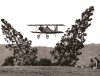 cr_McDonalds Pine Tree Airplane Set 1.jpg