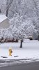 IMG_20160409_110847.jpg
