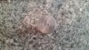 20160413_171923_resized.jpg