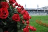 run for the roses, Churchill downs.jpg