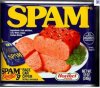 SPAM Can.jpg