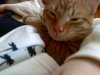 downsized_0308001222.jpg