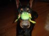 DSC01442.jpg
