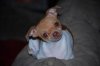 Resize of CSC_0035.jpg
