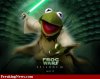 Frog-wars--41266.jpg