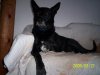 100_5608.jpg