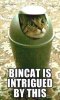 drbckami.jpg