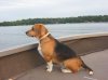 Nelson on Water Patrol.jpg