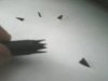 0508101825.jpg