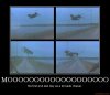 Moooooootornado.jpg