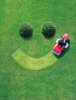 Lawn-Mowing-Gardening-Rubbish-Removal-South-Perth.jpg