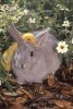 baby-bunny-and-duckling-friends-forever-2-lighter.jpg