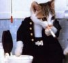 smoking_kitty.jpg