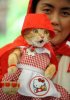 a_aaa-A-Little-Red-Riding-Hood-cat.jpg