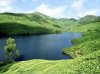 11442837-kerala1.jpg
