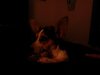 IMG_20120225_221411.jpg