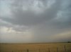 DSCN4364.jpg