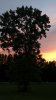 IMG_20160531_205116.jpg