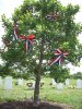 section-60-tree-memorial-day-2008-photo-002.jpg