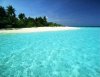 paradise.jpg
