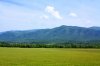 green mountains.jpg
