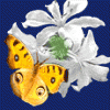 z10256948.gif