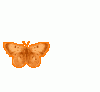 z22306728.gif