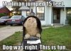 catinmailbox.jpg