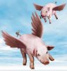 WhenCowsFly.jpg