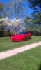 Spring Time 2012.jpg