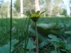 DSC00854.jpg