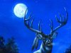 deer-night-moon-deer-buck-antlers-sky.jpg deer-night-moon-deer-buck-antlers-sky.jpg