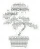 ascii bonsai.jpg