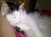 2010-06-05 18.07.14.jpg