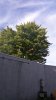 1471992662890-325232120.jpg
