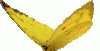 z1969ghfgh8051.gif