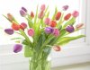 Tulips-OrgStyle-FL08_lg.jpg