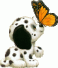 dalmatian-puppy.gif