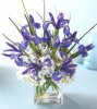 Mother's Day Flowers3.jpg