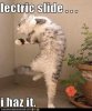 'lectric Slide.jpg 'lectric Slide.jpg