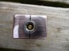 mini-P1080551.JPG