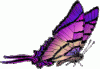 z4788697.gif