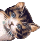z1849649.gif