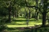 disc golf.jpg