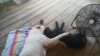 20160923_181852-640x360.jpg