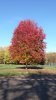 IMG_20161028_160621.jpg