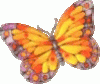 butterfly-yellow.gif
