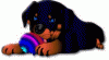 aarot.gif aarot.gif