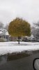IMG_20161120_153702.jpg