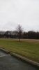 JPEG_20170103_144738_-1481579290.jpg